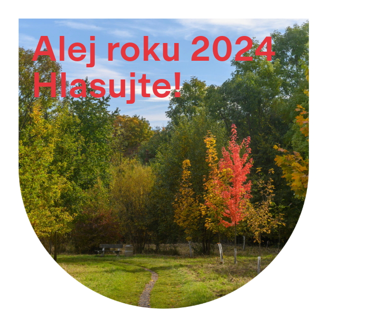 Dětská stromová alej - hlasování v anketě Alej roku 2024